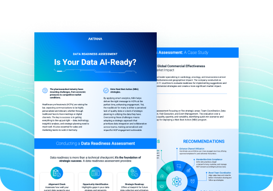 Screenshot of Data Readiness Assessment